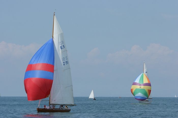 Regate Vieux Bateaux - 256 - 2008